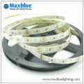 3014 Cct Variant et Dimmable LED Strip Lighting